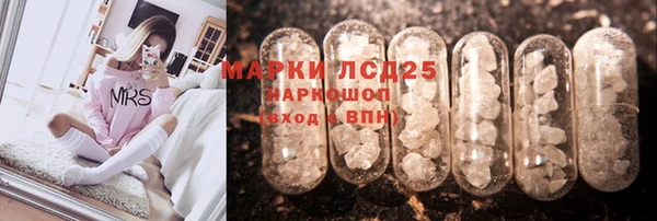 СК Медногорск